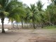Thumbs/tn_Jaco Beach 5.jpg